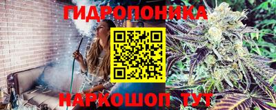 гашишное масло Дубна