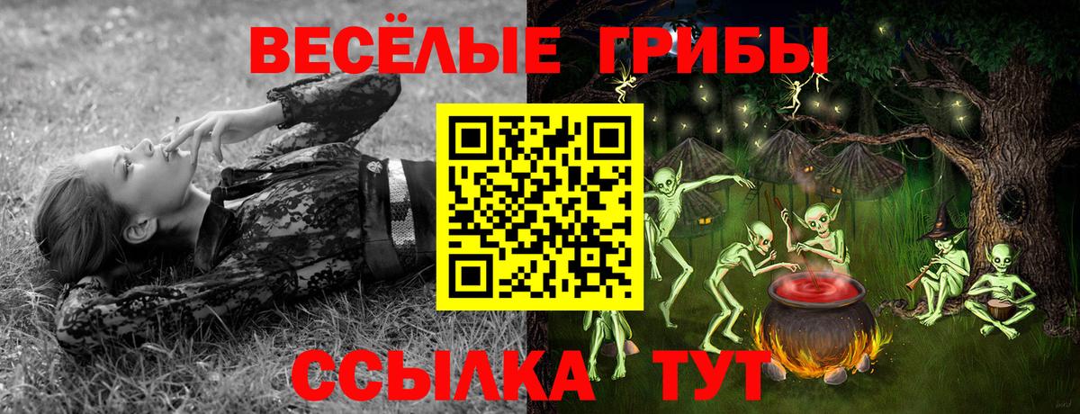 Галлюциногенные грибы Cubensis Дзержинский